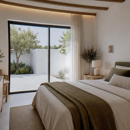 Aristanaca In Mykonos Psarou (Mykonos)